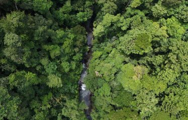 LARGE TROPICAL ESTATE WITH RIVER ACCESS AND A SMALL WATERFALL NEAR UVITA – 45.4 ACRES