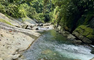 LARGE TROPICAL ESTATE WITH RIVER ACCESS AND A SMALL WATERFALL NEAR UVITA – 45.4 ACRES
