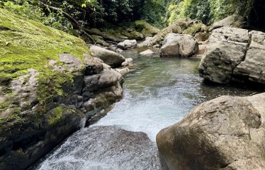 LARGE TROPICAL ESTATE WITH RIVER ACCESS AND A SMALL WATERFALL NEAR UVITA – 45.4 ACRES