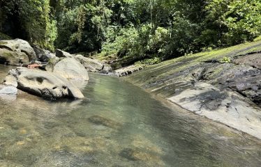 LARGE TROPICAL ESTATE WITH RIVER ACCESS AND A SMALL WATERFALL NEAR UVITA – 45.4 ACRES