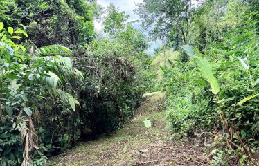 LARGE TROPICAL ESTATE WITH RIVER ACCESS AND A SMALL WATERFALL NEAR UVITA – 45.4 ACRES