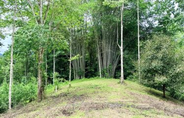 LARGE TROPICAL ESTATE WITH RIVER ACCESS AND A SMALL WATERFALL NEAR UVITA – 45.4 ACRES