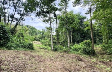 LARGE TROPICAL ESTATE WITH RIVER ACCESS AND A SMALL WATERFALL NEAR UVITA – 45.4 ACRES