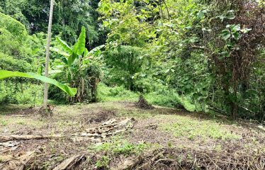LARGE TROPICAL ESTATE WITH RIVER ACCESS AND A SMALL WATERFALL NEAR UVITA – 45.4 ACRES