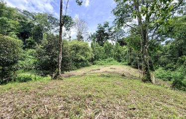 LARGE TROPICAL ESTATE WITH RIVER ACCESS AND A SMALL WATERFALL NEAR UVITA – 45.4 ACRES