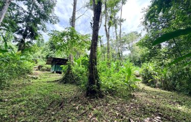 LARGE TROPICAL ESTATE WITH RIVER ACCESS AND A SMALL WATERFALL NEAR UVITA – 45.4 ACRES