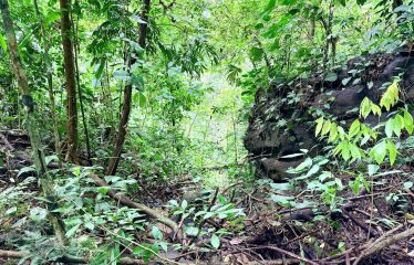 LARGE TROPICAL ESTATE WITH RIVER ACCESS AND A SMALL WATERFALL NEAR UVITA – 45.4 ACRES