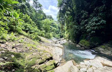 LARGE TROPICAL ESTATE WITH RIVER ACCESS AND A SMALL WATERFALL NEAR UVITA – 45.4 ACRES