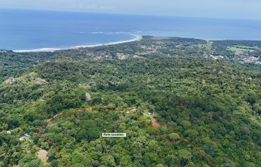 LARGE TROPICAL ESTATE WITH RIVER ACCESS AND A SMALL WATERFALL NEAR UVITA – 45.4 ACRES