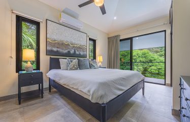LUXURY JUNGLE ESTATE WITH GUEST HOUSE AND 10.87 ACRES, IN OJOCHAL