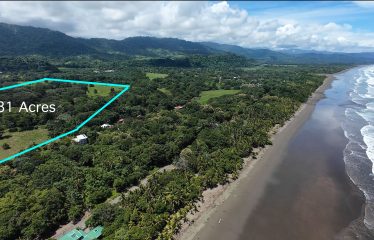GREAT BEACHFRONT DEVELOPMENT OPPORTUNITY, IN SAVEGRE MATAPALO – 81 ACRES