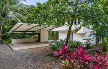 LUXURY JUNGLE ESTATE WITH GUEST HOUSE AND 10.87 ACRES, IN OJOCHAL