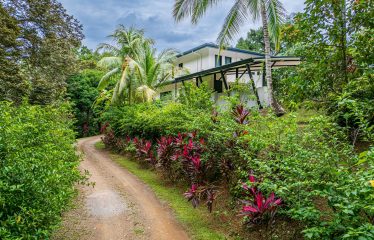 LUXURY JUNGLE ESTATE WITH GUEST HOUSE AND 10.87 ACRES, IN OJOCHAL
