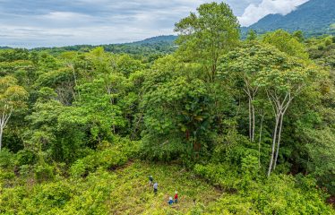 LUXURY JUNGLE ESTATE WITH GUEST HOUSE AND 10.87 ACRES, IN OJOCHAL