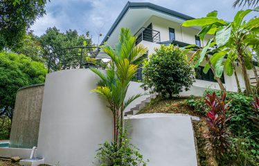 LUXURY JUNGLE ESTATE WITH GUEST HOUSE AND 10.87 ACRES, IN OJOCHAL
