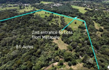 GREAT BEACHFRONT DEVELOPMENT OPPORTUNITY, IN SAVEGRE MATAPALO – 81 ACRES