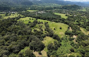GREAT BEACHFRONT DEVELOPMENT OPPORTUNITY, IN SAVEGRE MATAPALO – 81 ACRES