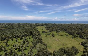 GREAT BEACHFRONT DEVELOPMENT OPPORTUNITY, IN SAVEGRE MATAPALO – 81 ACRES