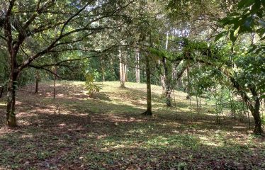 LUXURY JUNGLE ESTATE WITH GUEST HOUSE AND 10.87 ACRES, IN OJOCHAL