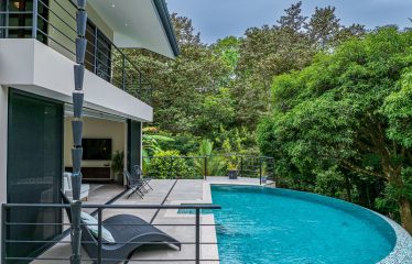 LUXURY JUNGLE ESTATE WITH GUEST HOUSE AND 10.87 ACRES, IN OJOCHAL