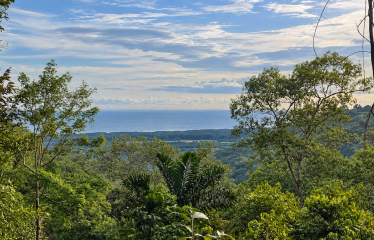 5.93-ACRE LOT WITH OCEAN VIEW AND NATURE RESERVE, IN PORTASOL