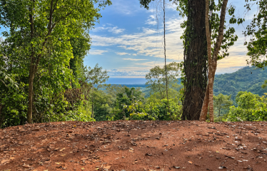5.93-ACRE LOT WITH OCEAN VIEW AND NATURE RESERVE, IN PORTASOL
