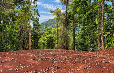 5.93-ACRE LOT WITH OCEAN VIEW AND NATURE RESERVE, IN PORTASOL