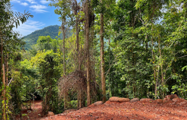 5.93-ACRE LOT WITH OCEAN VIEW AND NATURE RESERVE, IN PORTASOL