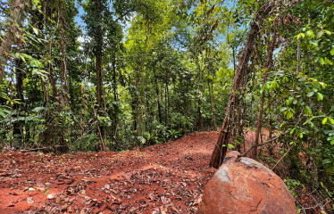 5.93-ACRE LOT WITH OCEAN VIEW AND NATURE RESERVE, IN PORTASOL