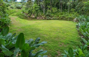 CARACARA RIDGE LOT #41 – ELEVATED SETTING WITH MOUNTAIN VIEWS, IN OJOCHAL – 1.43 ACRES