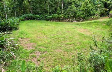 CARACARA RIDGE LOT #41 – ELEVATED SETTING WITH MOUNTAIN VIEWS, IN OJOCHAL – 1.43 ACRES