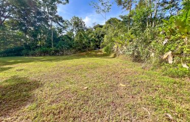 CARACARA RIDGE LOT #41 – ELEVATED SETTING WITH MOUNTAIN VIEWS, IN OJOCHAL – 1.43 ACRES