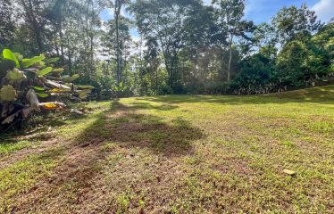 CARACARA RIDGE LOT #41 – ELEVATED SETTING WITH MOUNTAIN VIEWS, IN OJOCHAL – 1.43 ACRES