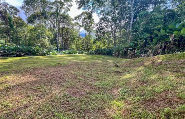 CARACARA RIDGE LOT #41 – ELEVATED SETTING WITH MOUNTAIN VIEWS, IN OJOCHAL – 1.43 ACRES