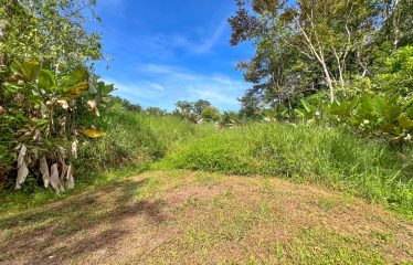 CARACARA RIDGE LOT #41 – ELEVATED SETTING WITH MOUNTAIN VIEWS, IN OJOCHAL – 1.43 ACRES