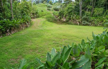 CARACARA RIDGE LOT #41 – ELEVATED SETTING WITH MOUNTAIN VIEWS, IN OJOCHAL – 1.43 ACRES