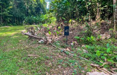 CARACARA RIDGE LOT #41 – ELEVATED SETTING WITH MOUNTAIN VIEWS, IN OJOCHAL – 1.43 ACRES