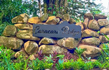 CARACARA RIDGE LOT #41 – ELEVATED SETTING WITH MOUNTAIN VIEWS, IN OJOCHAL – 1.43 ACRES