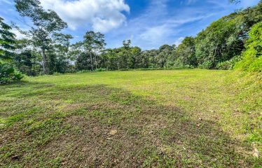 CARACARA RIDGE LOT #42 – ELEVATED MOUNTAIN SETTING SURROUNDED BY NATURE, IN OJOCHAL – 1.76 ACRES