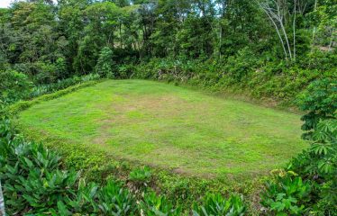 CARACARA RIDGE LOT #42 – ELEVATED MOUNTAIN SETTING SURROUNDED BY NATURE, IN OJOCHAL – 1.76 ACRES