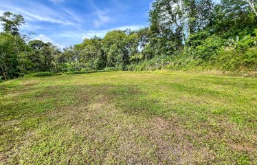 CARACARA RIDGE LOT #42 – ELEVATED MOUNTAIN SETTING SURROUNDED BY NATURE, IN OJOCHAL – 1.76 ACRES