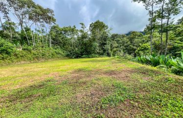 CARACARA RIDGE LOT #42 – ELEVATED MOUNTAIN SETTING SURROUNDED BY NATURE, IN OJOCHAL – 1.76 ACRES