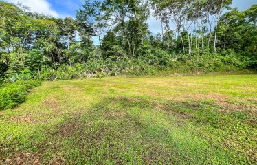 CARACARA RIDGE LOT #42 – ELEVATED MOUNTAIN SETTING SURROUNDED BY NATURE, IN OJOCHAL – 1.76 ACRES