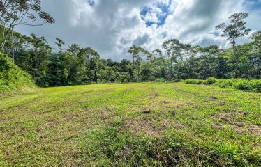 CARACARA RIDGE LOT #42 – ELEVATED MOUNTAIN SETTING SURROUNDED BY NATURE, IN OJOCHAL – 1.76 ACRES