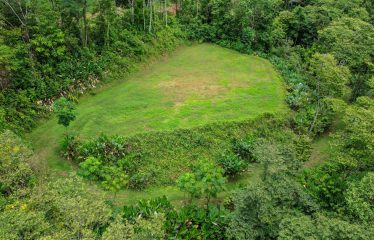 CARACARA RIDGE LOT #42 – ELEVATED MOUNTAIN SETTING SURROUNDED BY NATURE, IN OJOCHAL – 1.76 ACRES