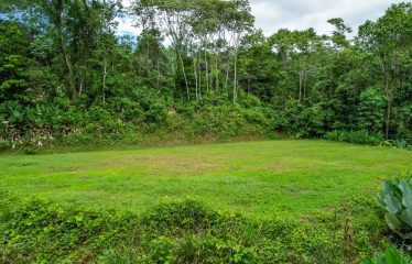 CARACARA RIDGE LOT #42 – ELEVATED MOUNTAIN SETTING SURROUNDED BY NATURE, IN OJOCHAL – 1.76 ACRES