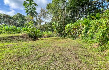 CARACARA RIDGE LOT #42 – ELEVATED MOUNTAIN SETTING SURROUNDED BY NATURE, IN OJOCHAL – 1.76 ACRES