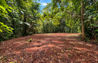 5.93-ACRE LOT WITH OCEAN VIEW AND NATURE RESERVE, IN PORTASOL