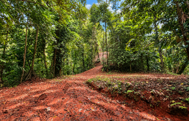 5.93-ACRE LOT WITH OCEAN VIEW AND NATURE RESERVE, IN PORTASOL