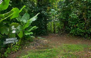5.93-ACRE LOT WITH OCEAN VIEW AND NATURE RESERVE, IN PORTASOL